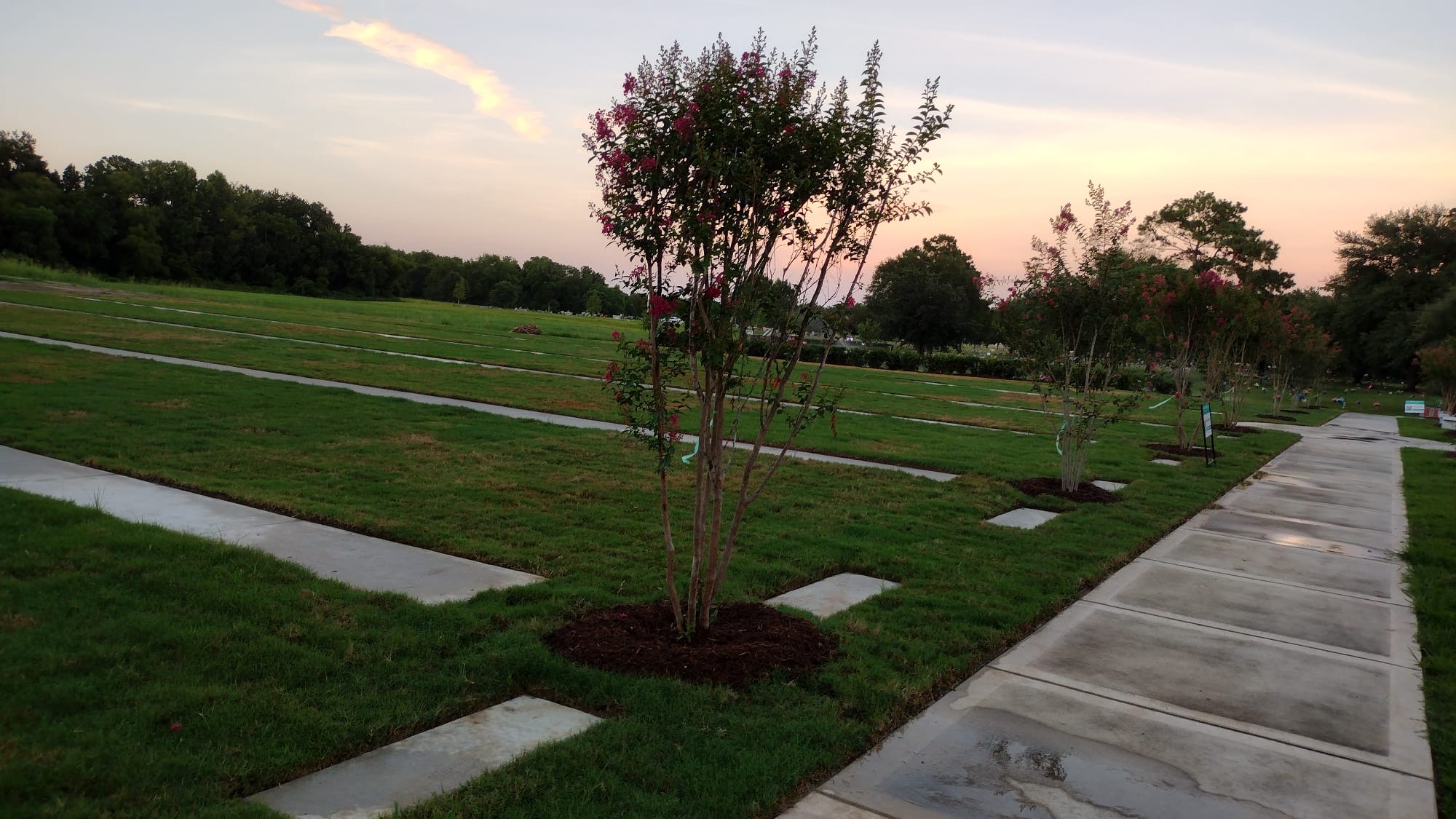 Cemetery grounds after Phoenix Landscape Solutions professional maintenance