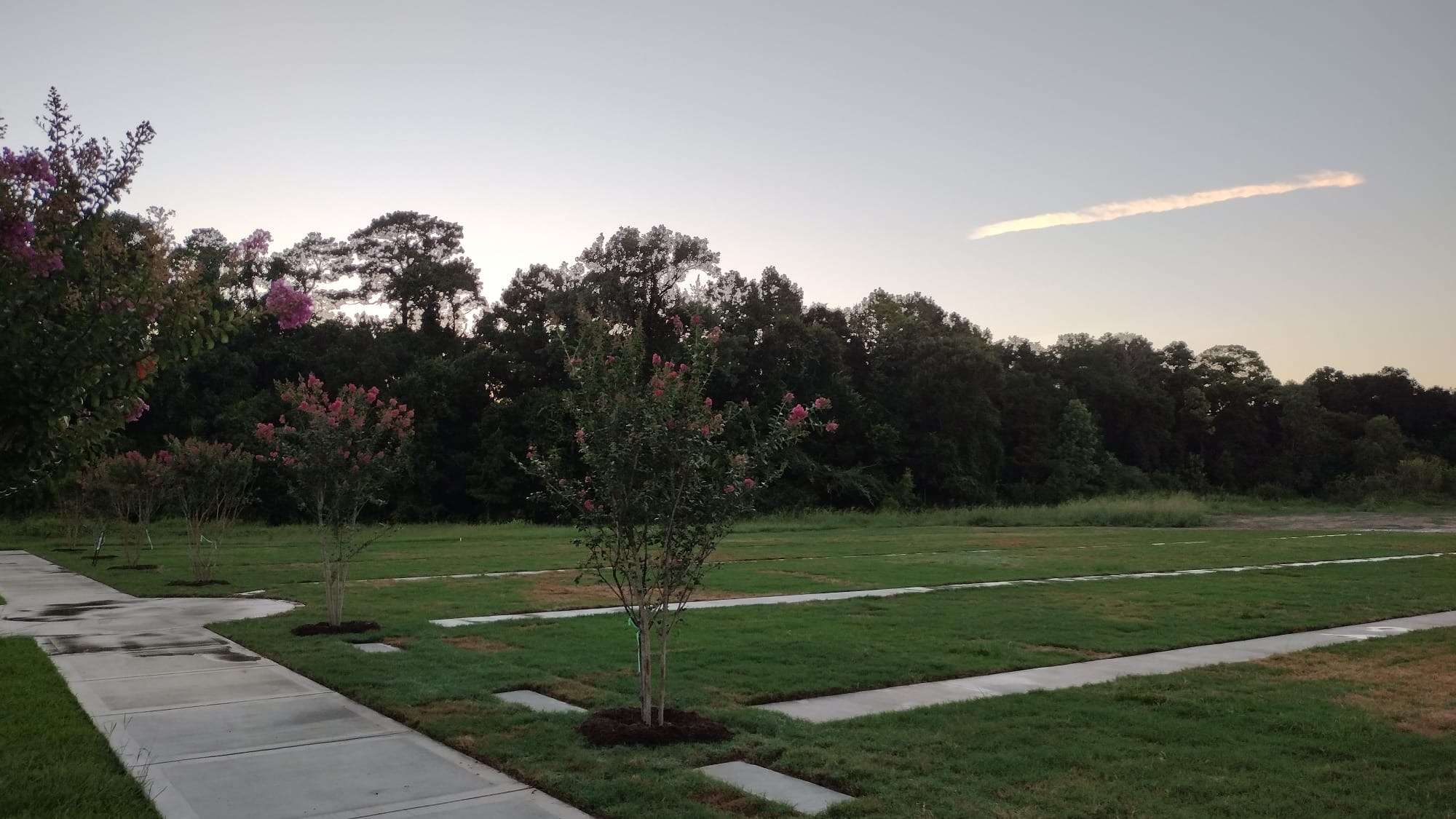Beautifully maintained cemetery grounds by Phoenix Landscape Solutions