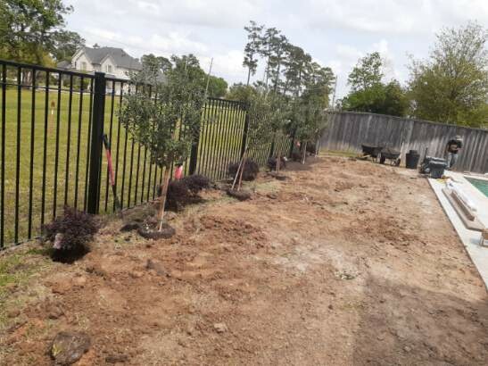 Commercial property grounds before Phoenix maintenance program