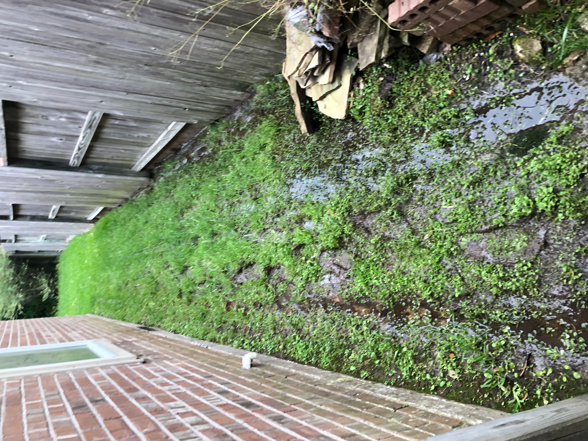 Residential yard before irrigation system installation